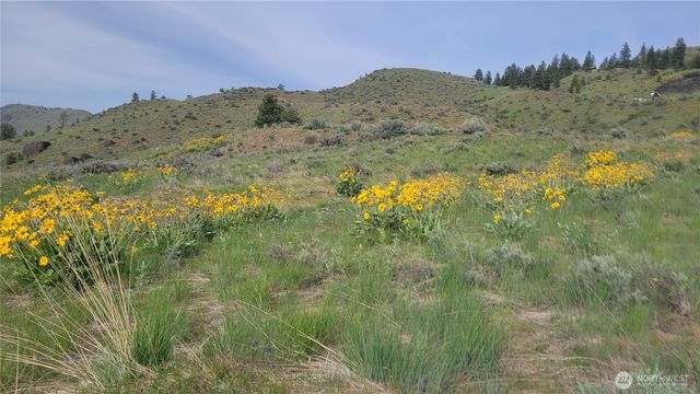 0 Coyote's Curve Road, Orondo, WA 98843