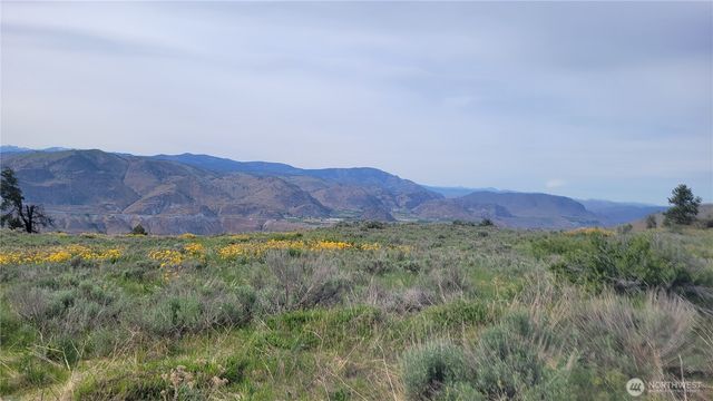 0 Coyote's Curve Road, Orondo, WA 98843