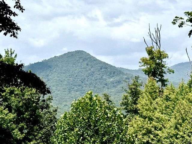 Lot 19 Grand Laurel, Brasstown, NC 28902