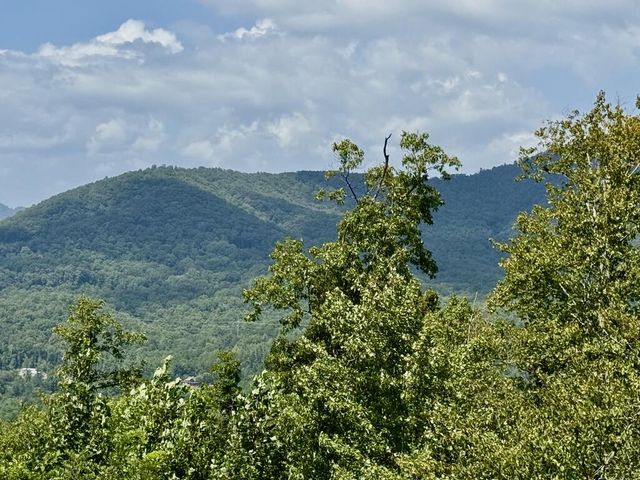 Lot 19 Grand Laurel, Brasstown, NC 28902