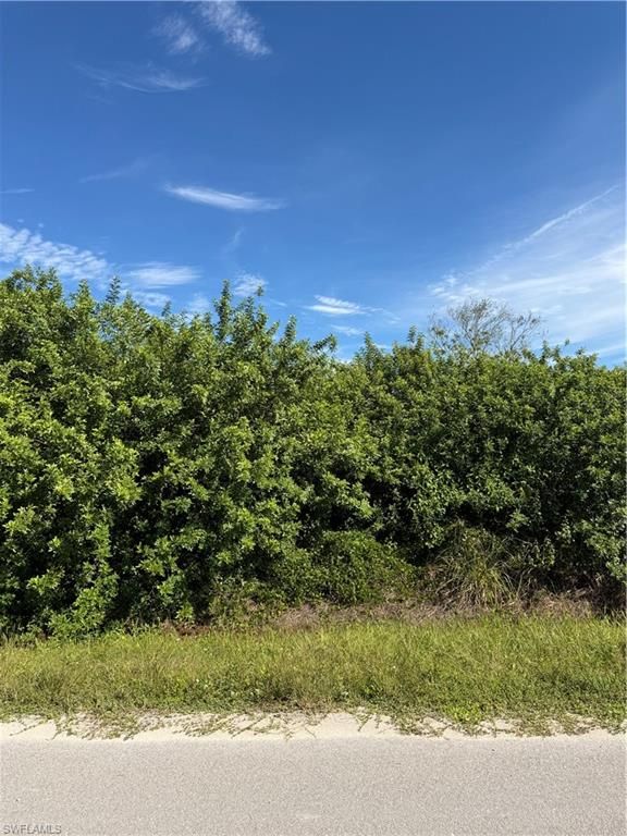 41st AVE NW, NAPLES, FL 34120 — photo 4
