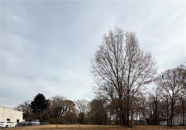 427 Rauhut Street, Burlington, NC 27217