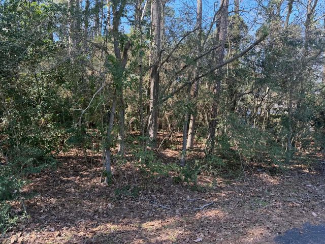 137 Paradise Valley Drive, Conroe, TX 77304