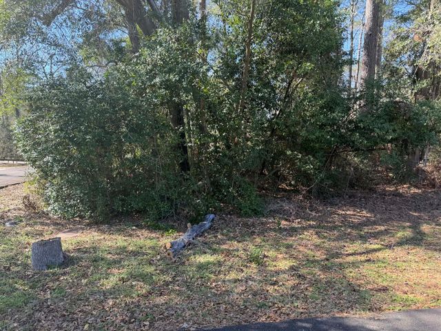 137 Paradise Valley Drive, Conroe, TX 77304