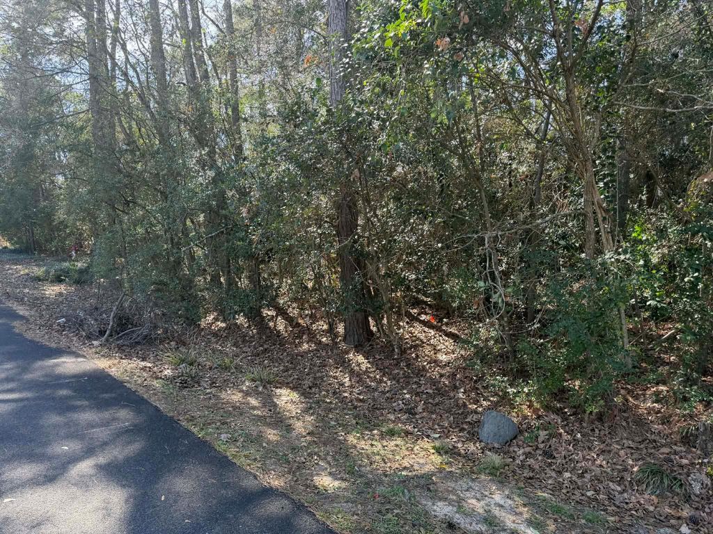 137 Paradise Valley Drive, Conroe, TX 77304