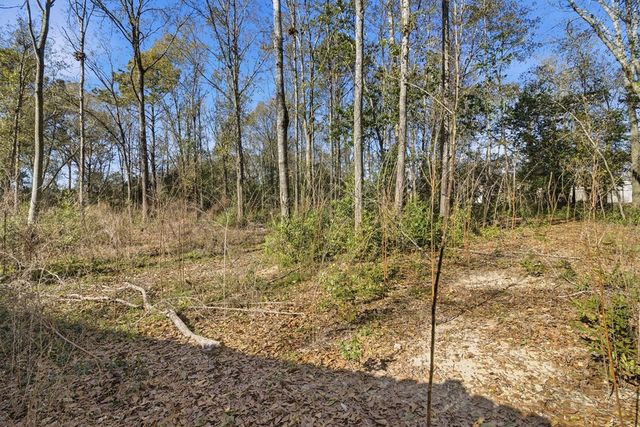 2316 Wilkins Street, Dothan, AL 36301