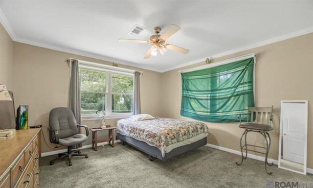 1542 N Woodcrest Ave, Denham Springs, LA 70726