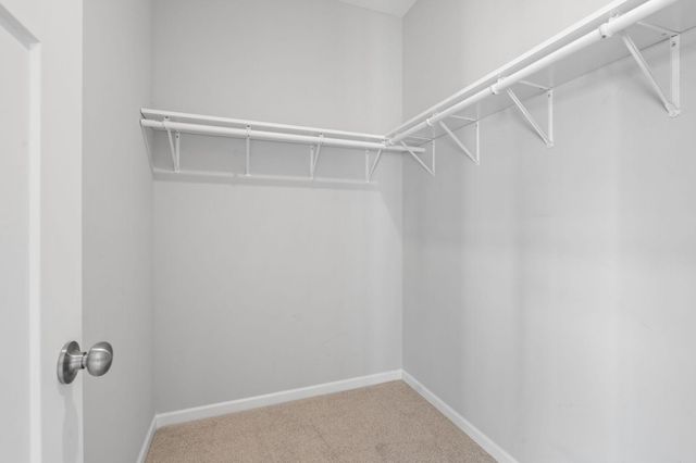 811 Morrison Avenue, Annandale, MN 55302