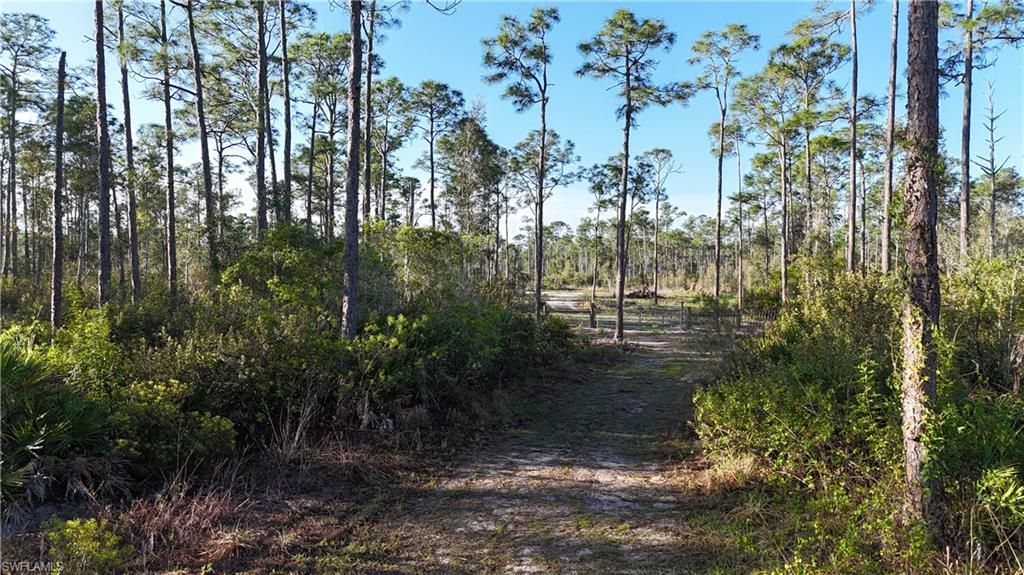 14350 Burnt Store RD, PUNTA GORDA, FL 33955 — photo 5