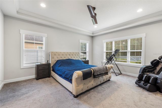 19520 HAYDEN LAKE COURT, Land O Lakes, FL 34638