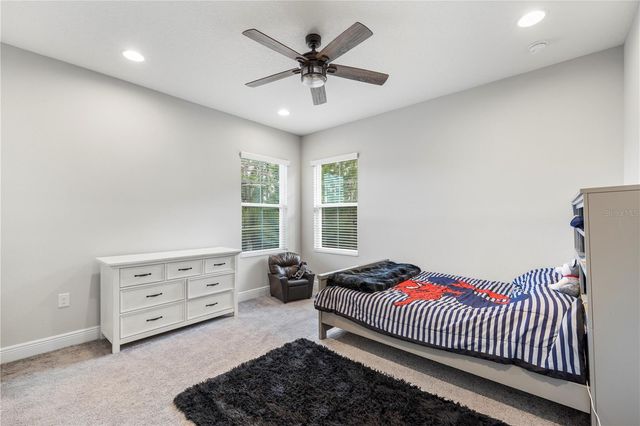 19520 HAYDEN LAKE COURT, Land O Lakes, FL 34638