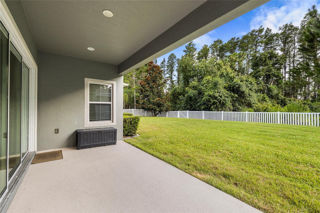19520 HAYDEN LAKE COURT, Land O Lakes, FL 34638