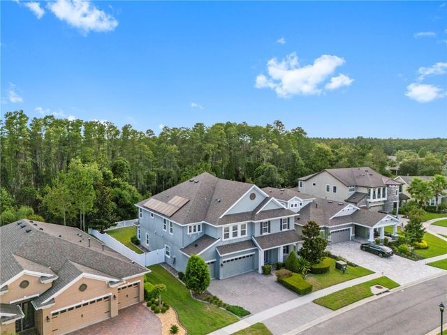 19520 HAYDEN LAKE COURT, Land O Lakes, FL 34638