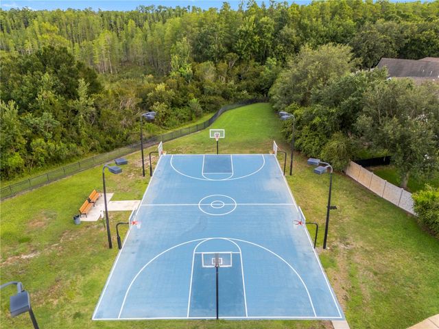 19520 HAYDEN LAKE COURT, Land O Lakes, FL 34638