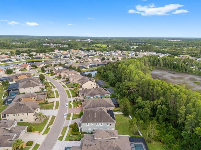 19520 HAYDEN LAKE COURT, Land O Lakes, FL 34638