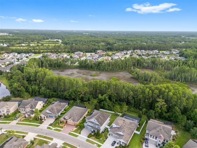 19520 HAYDEN LAKE COURT, Land O Lakes, FL 34638