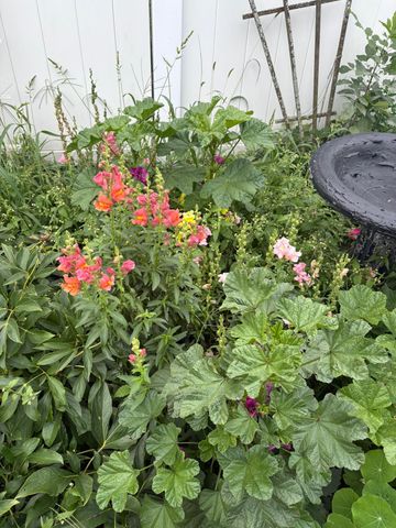 5227 5th Street NE, Columbia Heights, MN 55421