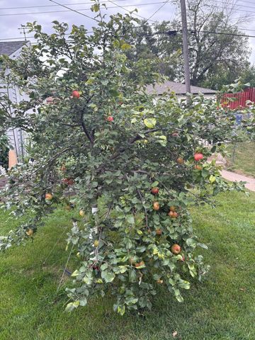 5227 5th Street NE, Columbia Heights, MN 55421