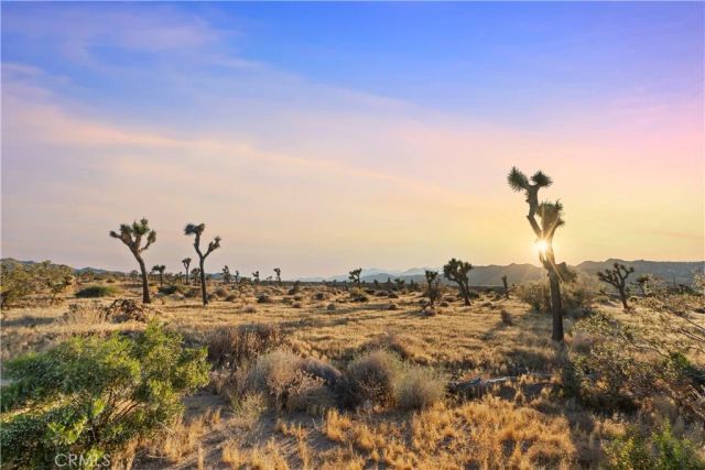 7021 Balsa, Yucca Valley, CA 92284