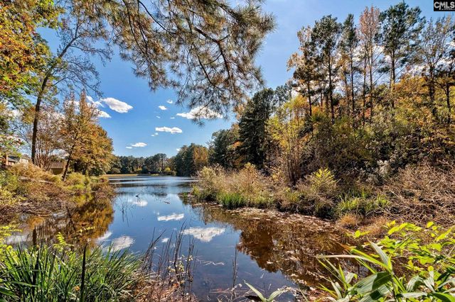 728 Bentley Drive, Lexington, SC 29072