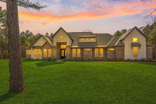 7729 Dog Wood Acres Drive, Montgomery, TX 77316