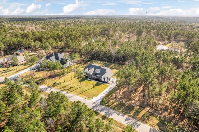 7729 Dog Wood Acres Drive, Montgomery, TX 77316