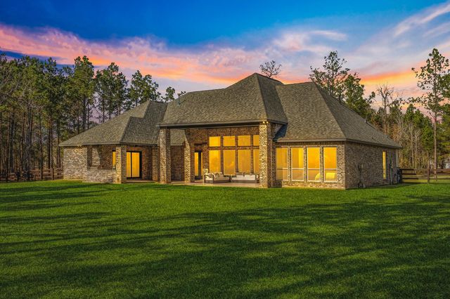 7729 Dog Wood Acres Drive, Montgomery, TX 77316