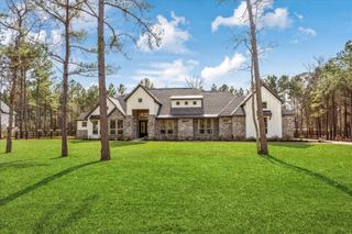 7729 Dog Wood Acres Drive, Montgomery, TX 77316