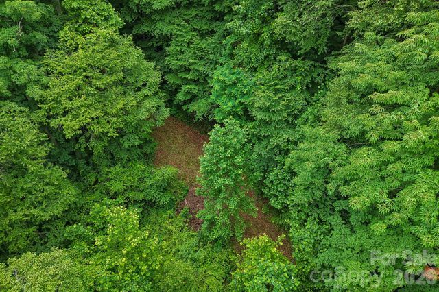 00 Sequoyah Drive, Waynesville, NC 29786