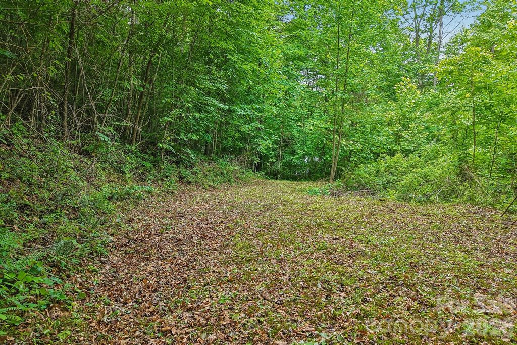 00 Sequoyah Drive, Waynesville, NC 29786