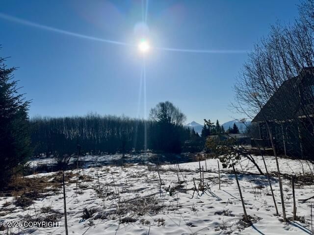 3884 Forest Glen Drive, Homer, AK 99603