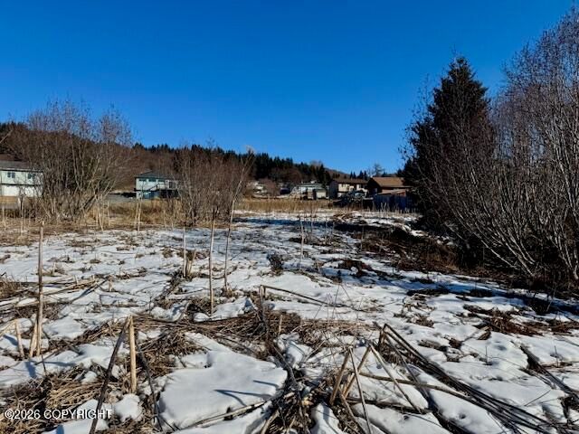 3884 Forest Glen Drive, Homer, AK 99603