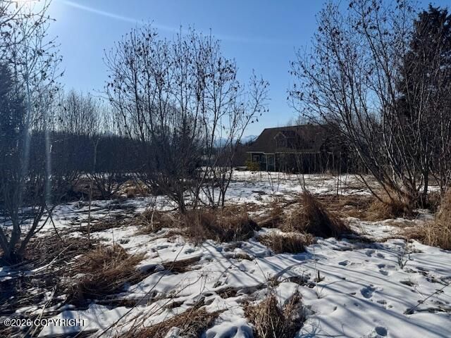 3884 Forest Glen Drive, Homer, AK 99603