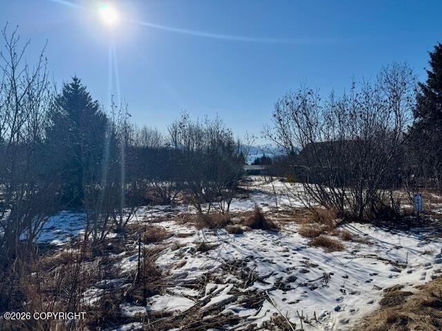 3884 Forest Glen Drive, Homer, AK 99603