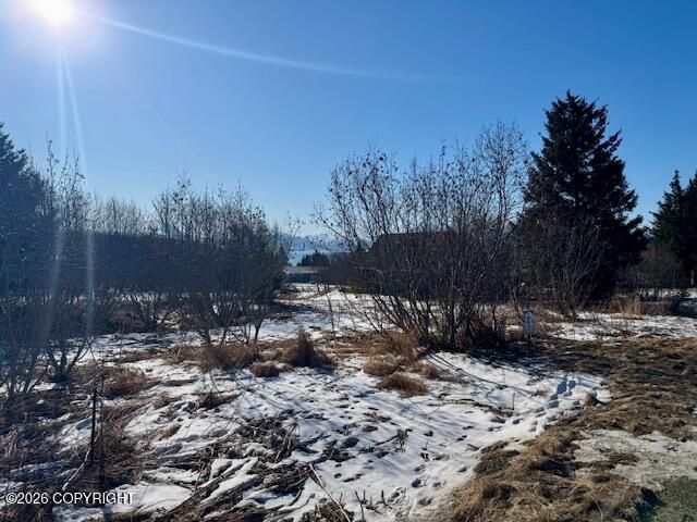 3884 Forest Glen Drive, Homer, AK 99603