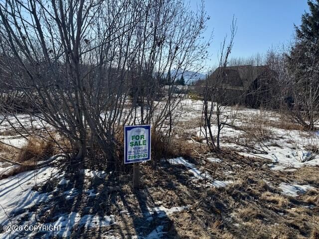 3884 Forest Glen Drive, Homer, AK 99603