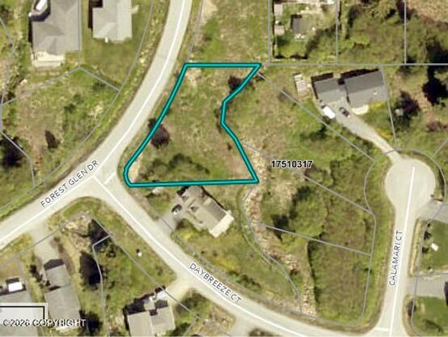 3884 Forest Glen Drive, Homer, AK 99603