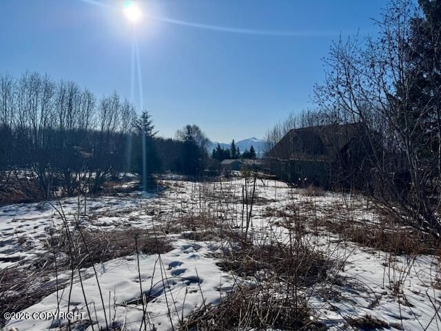 3884 Forest Glen Drive, Homer, AK 99603