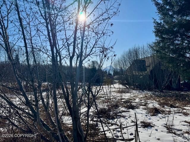 3884 Forest Glen Drive, Homer, AK 99603