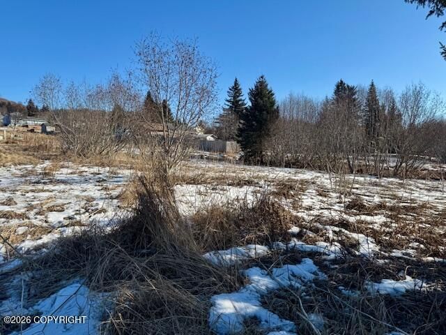 3884 Forest Glen Drive, Homer, AK 99603