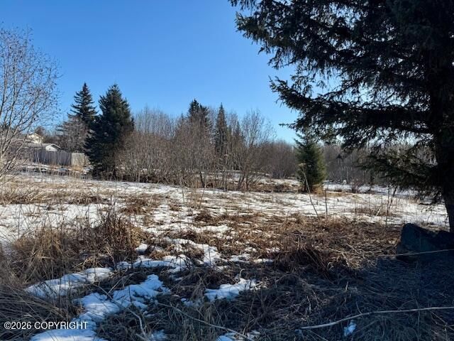 3884 Forest Glen Drive, Homer, AK 99603