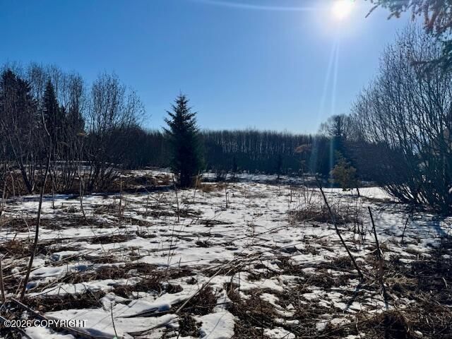 3884 Forest Glen Drive, Homer, AK 99603