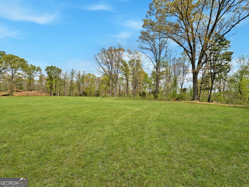 102 Broad River Road LOT 6, Eastanollee, GA 30538 — photo 2