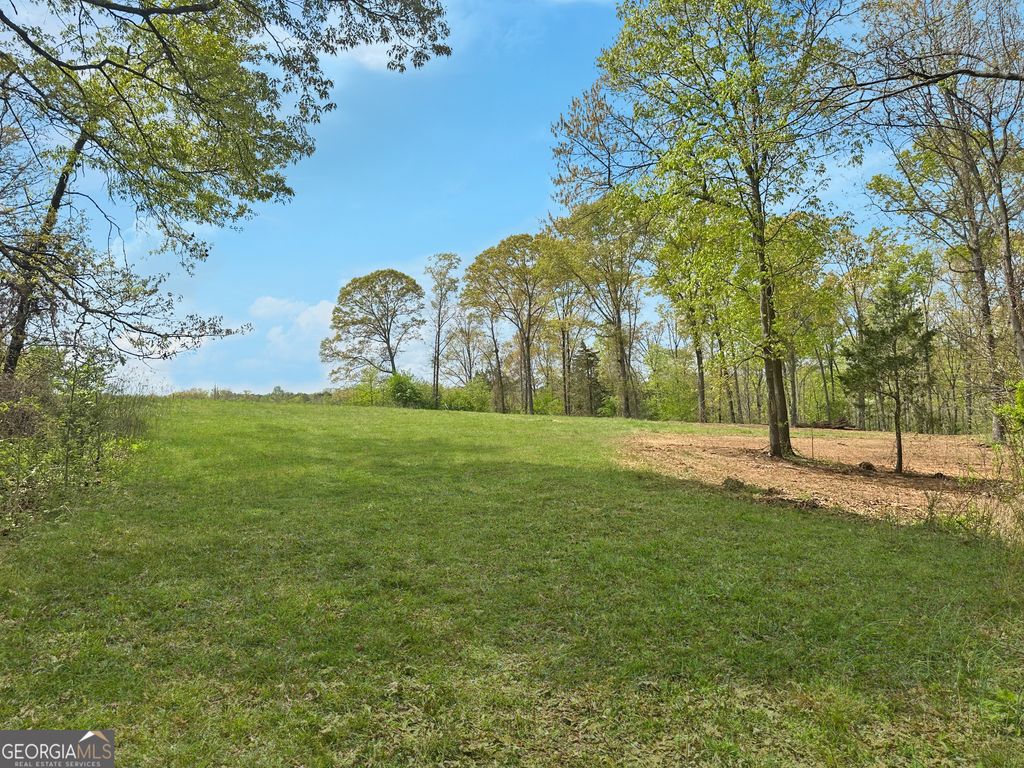 102 Broad River Road LOT 6, Eastanollee, GA 30538 — photo 4