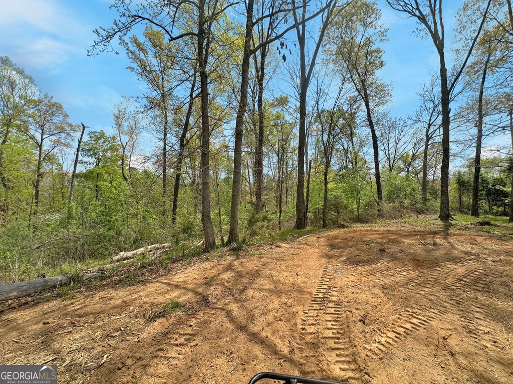 102 Broad River Road LOT 6, Eastanollee, GA 30538 — photo 5