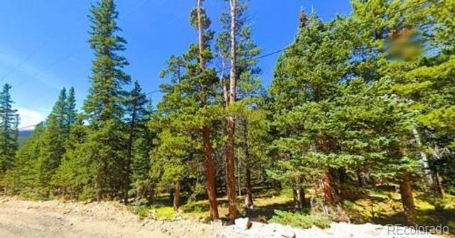 Lot 42 Mine Road, Idaho Springs, CO 80452