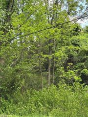 522 Delaware Rd, Hope Twp., NJ 07825