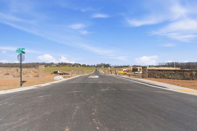 1643 S Crepe Myrtle Lane, Springfield, MO 65809