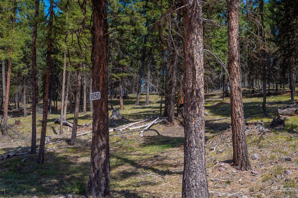 1050 Grandview Drive, Seeley Lake, MT 59868