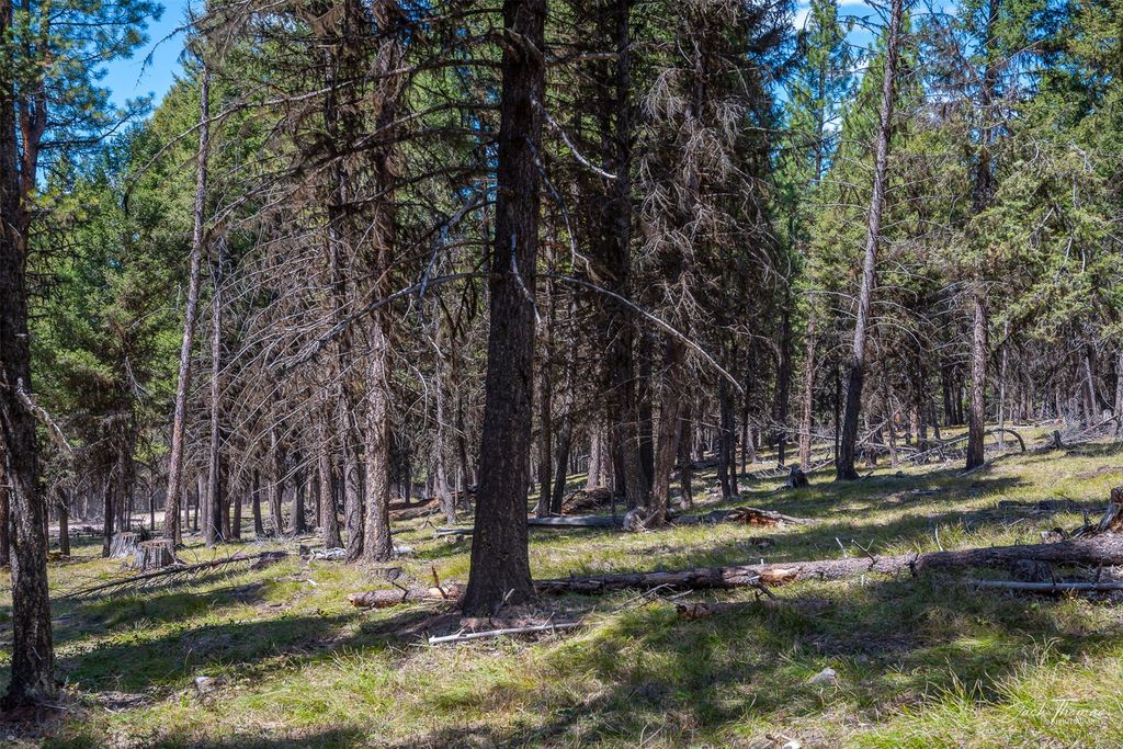1050 Grandview Drive, Seeley Lake, MT 59868 photo 11